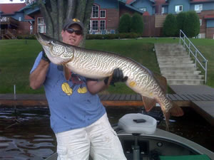 Tiger Musky caught in northern Wisconsin