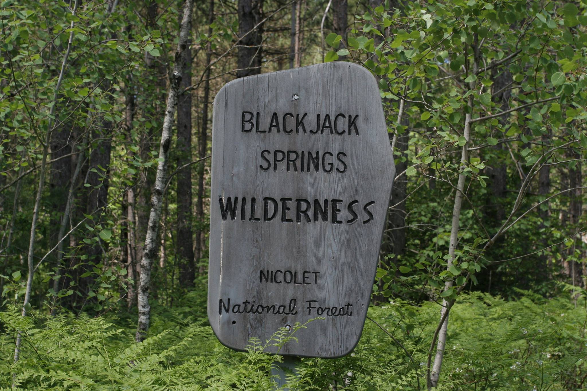 Featured image for “Blackjack Springs Wilderness”