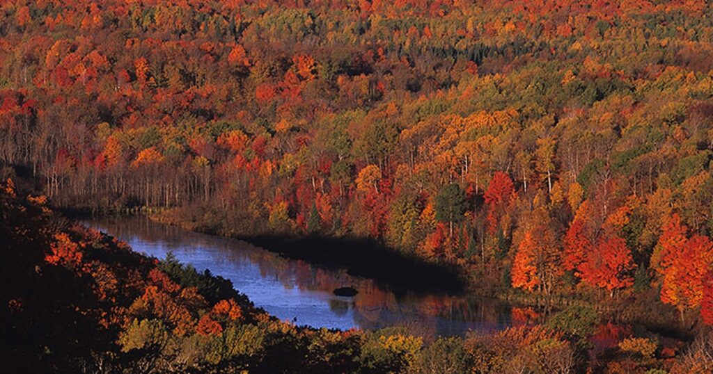 Chequamegon-Nicolet National Forest in the Fall