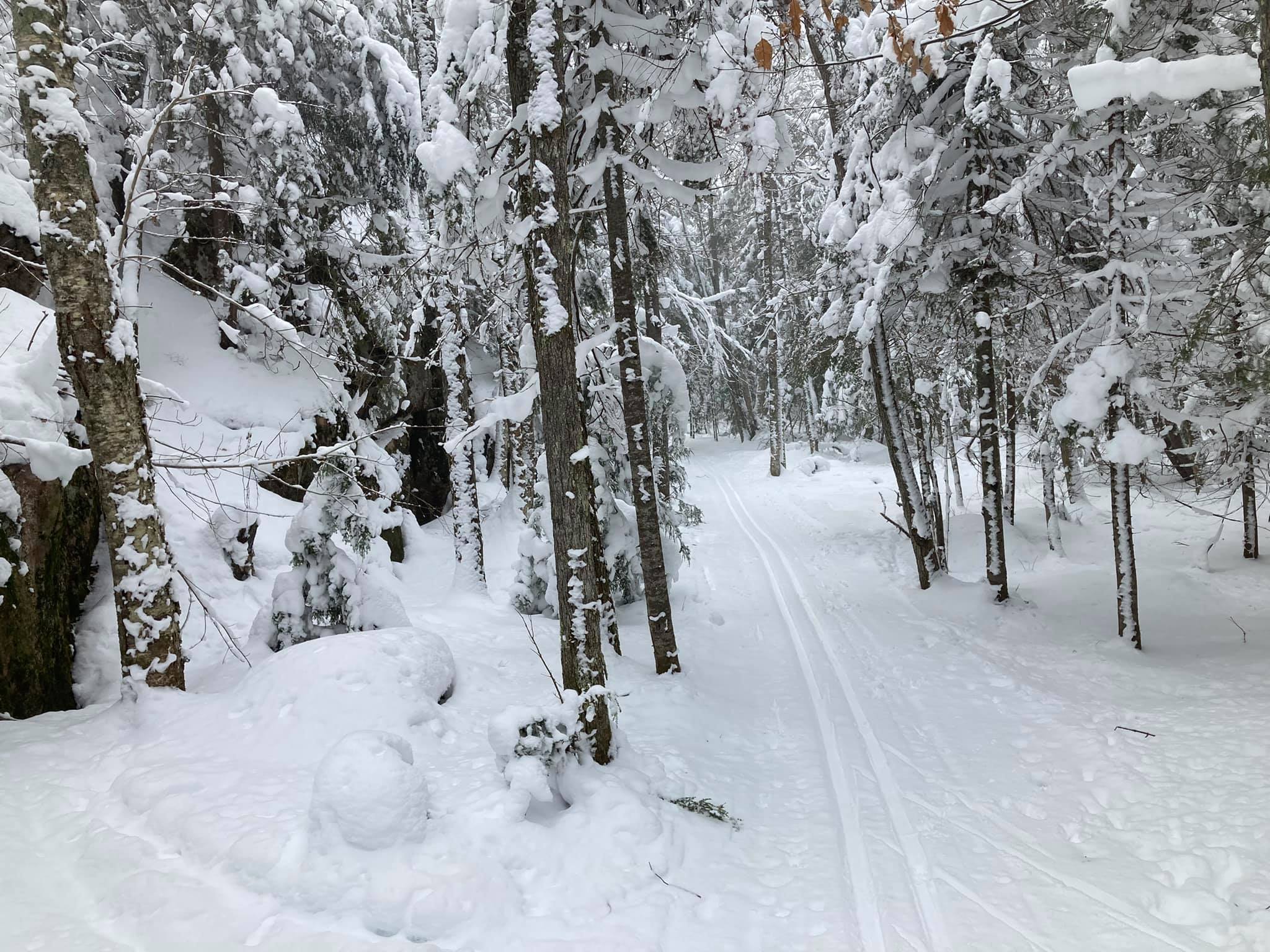 Featured image for “The Top 5 Cross Country Ski Trails in Northern Wisconsin”
