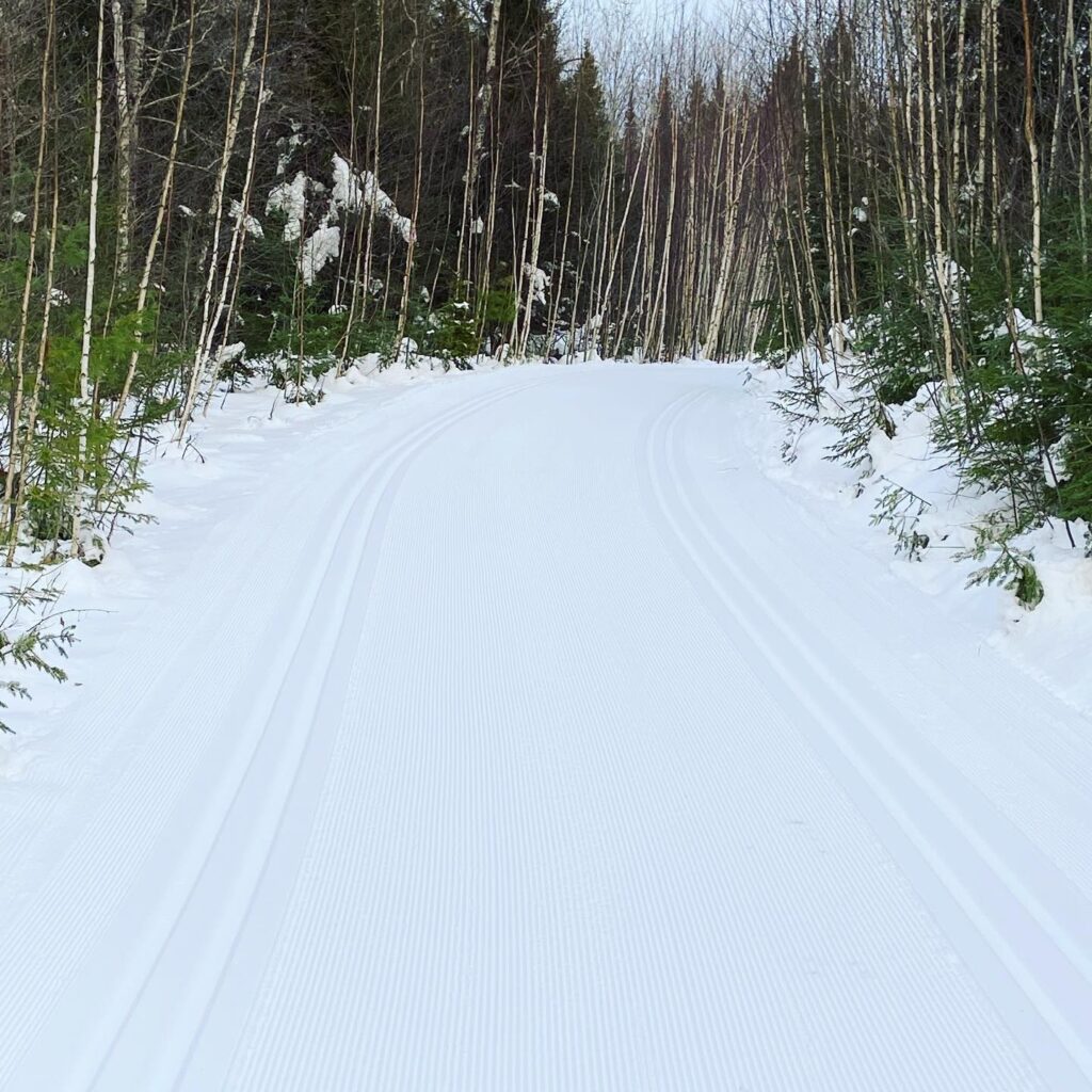 Winman Tops Our List of the Best Cross Country Ski Trails in Northern Wisconsin