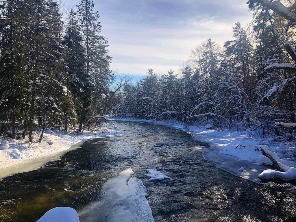 Hayward is Great to Visit No Matter the Season